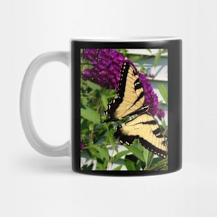 Tiger Swallowtail Butterfly Mug